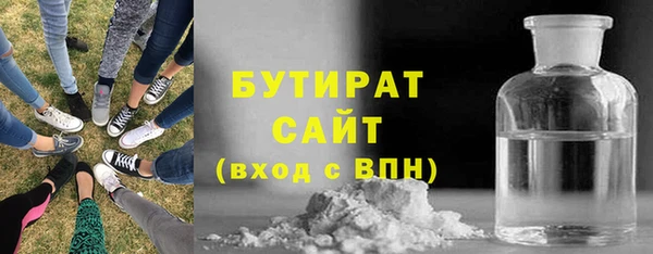 индика Вяземский