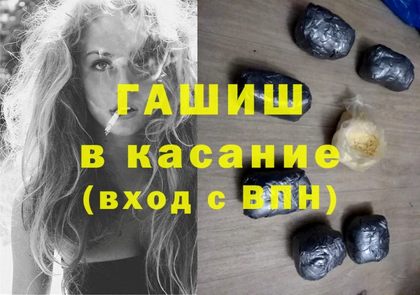 индика Вяземский