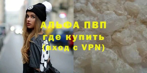 индика Вяземский
