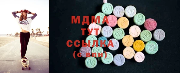 индика Вяземский