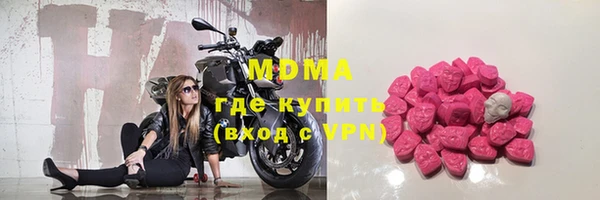 индика Вяземский