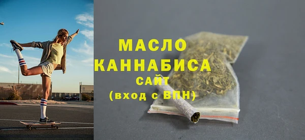 индика Вяземский