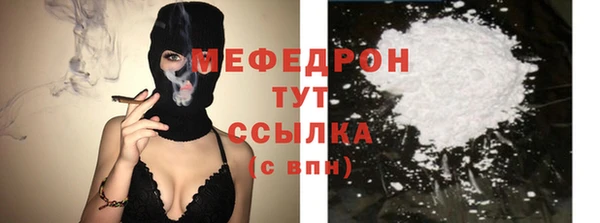 индика Вяземский