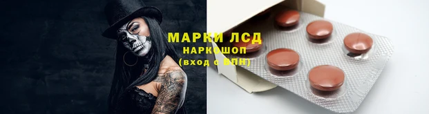 индика Вяземский