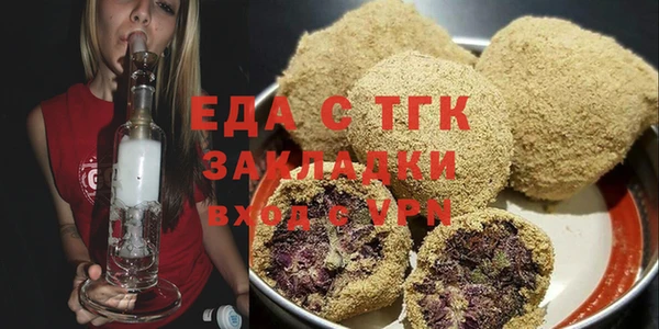 индика Вяземский