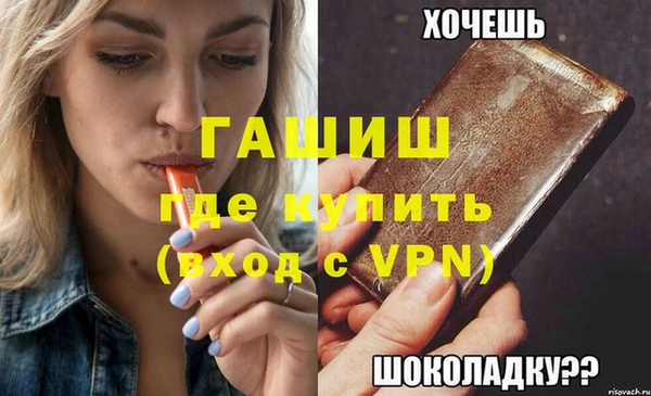 индика Вяземский