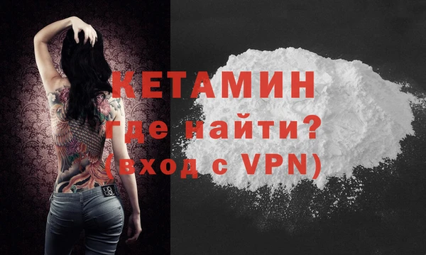 индика Вяземский