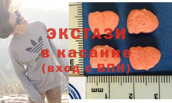 индика Вяземский