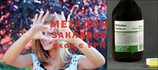 индика Вяземский
