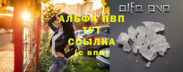индика Вяземский