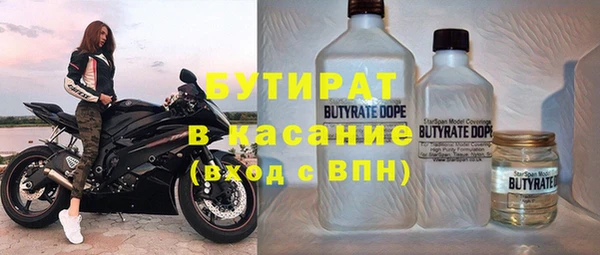 индика Вяземский
