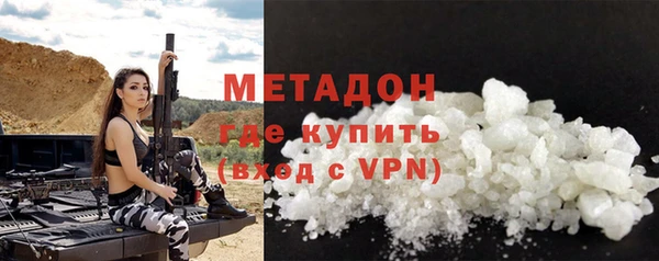 индика Вяземский