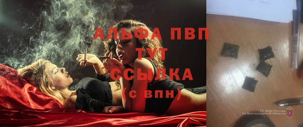 индика Вяземский