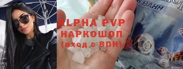 индика Вяземский