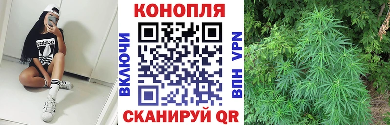 Бошки Шишки LSD WEED  это как зайти  Пласт  где купить наркоту 